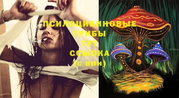 крисы Беломорск