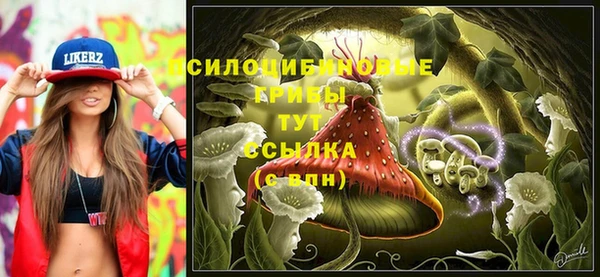 крисы Беломорск