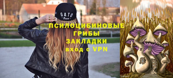 крисы Беломорск