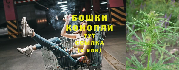 дурь Белокуриха