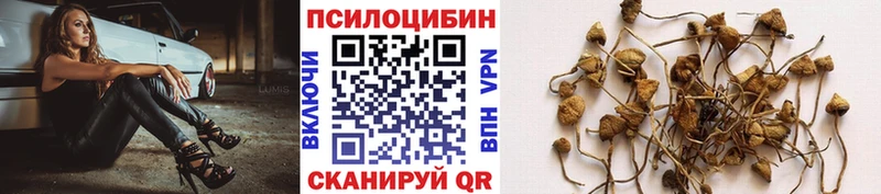 Псилоцибиновые грибы мицелий  мега онион  Княгинино  где найти  